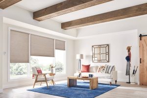 Cellular shades in large living room with exposed beams